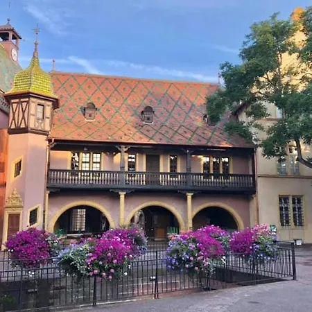 Appartement L'ourson Colmar