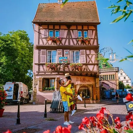 L'ourson Appartement Colmar