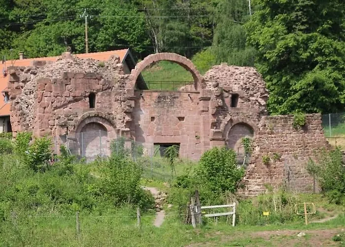 L'ourson * Кольмар